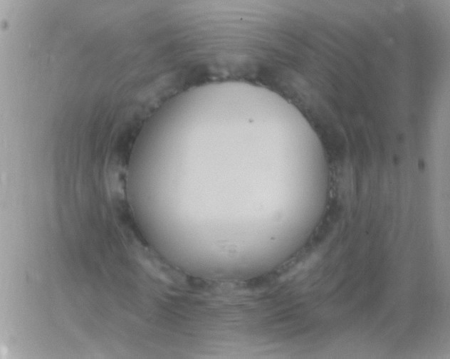 X0000065970770200603172049