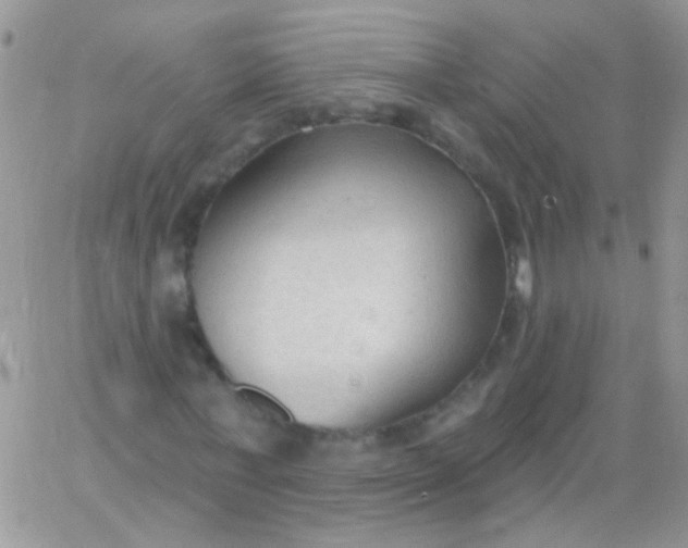 X0000065970771200603172049