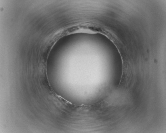 X0000065970773200603172049