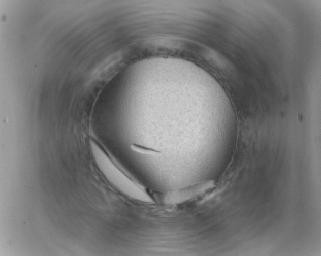 X0000065970774200603172049