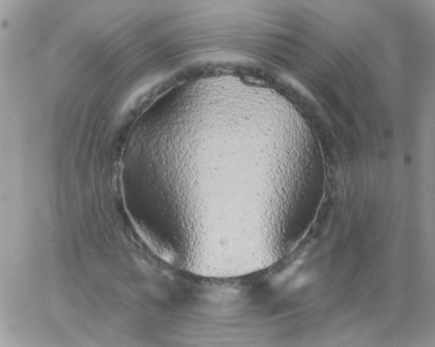 X0000065970775200603172049