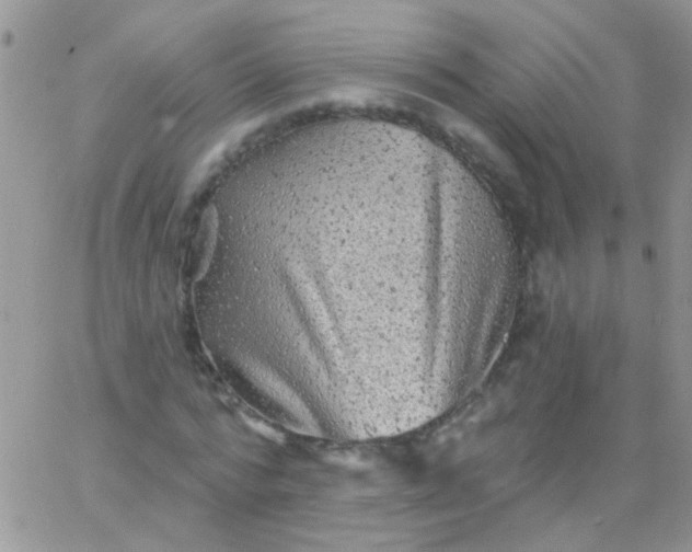 X0000065970776200603172049