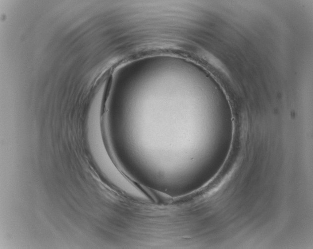 X0000065970777200603172049