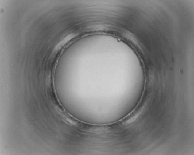 X0000065970778200603172049