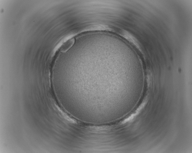 X0000065970781200603172049