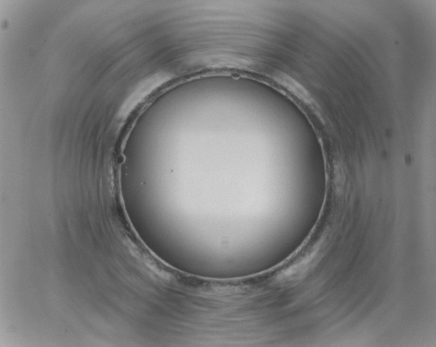 X0000065970782200603172049