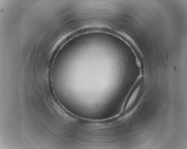 X0000065970783200603172049