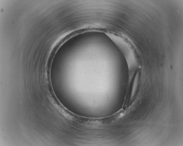 X0000065970784200603172049