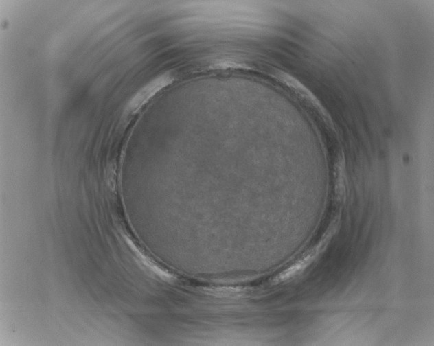 X0000065970785200603172049