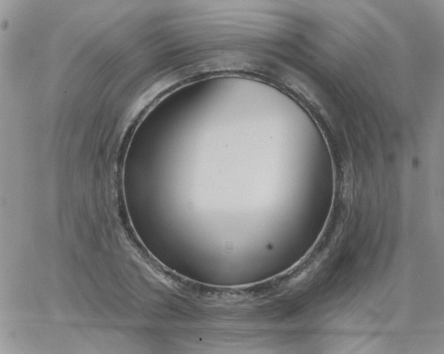 X0000065970786200603172049