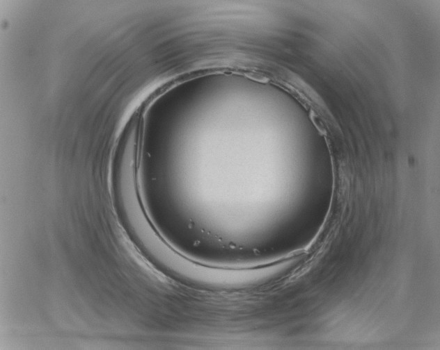 X0000065970788200603172049