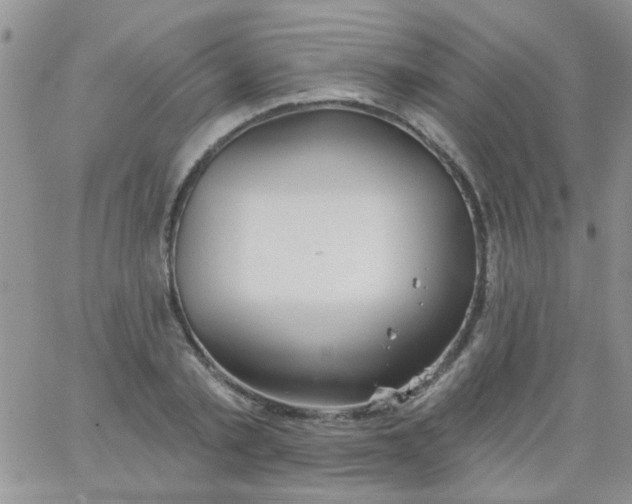 X0000065970789200603172049