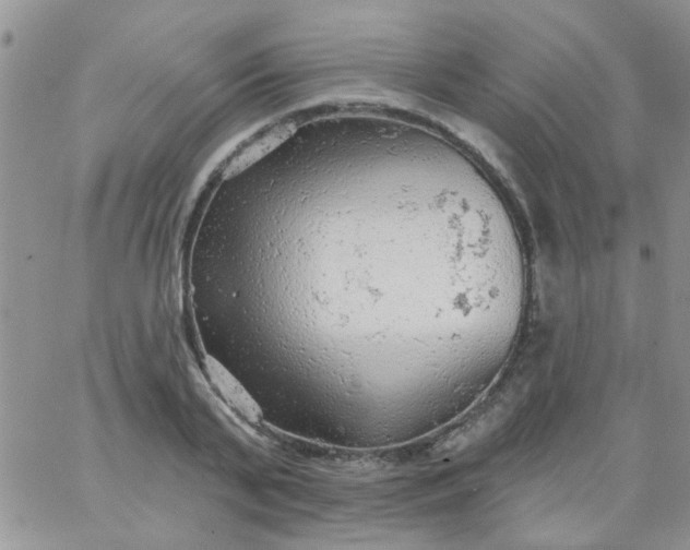 X0000065970791200603172049