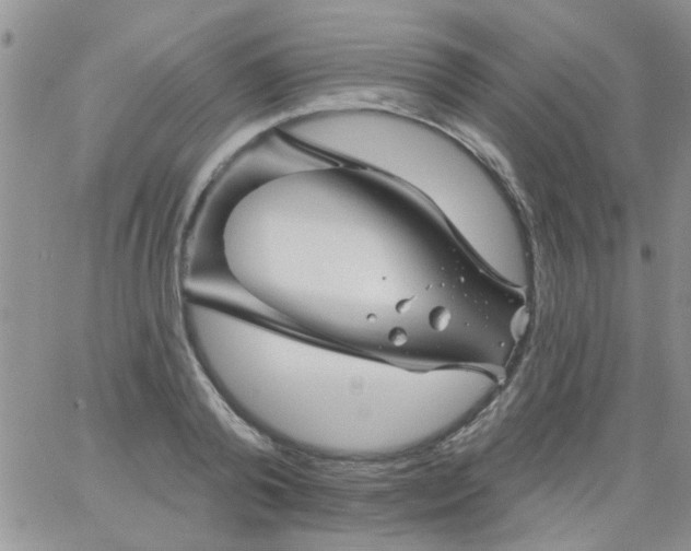 X0000065970792200603172049