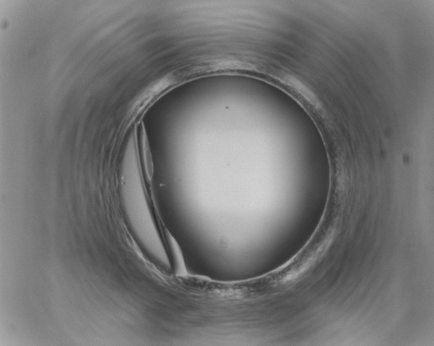 X0000065970793200603172049