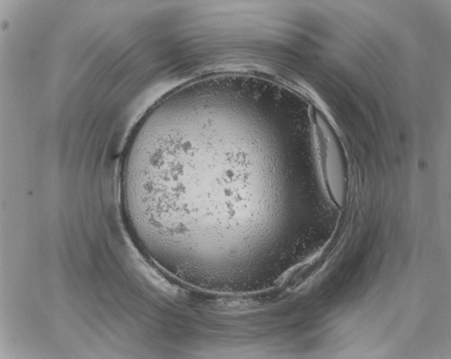 X0000065970795200603172049