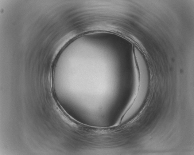 X0000065970796200603172049