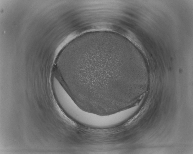 X0000065970797200603172049