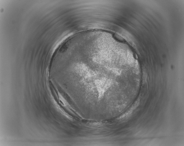 X0000065970798200603172049