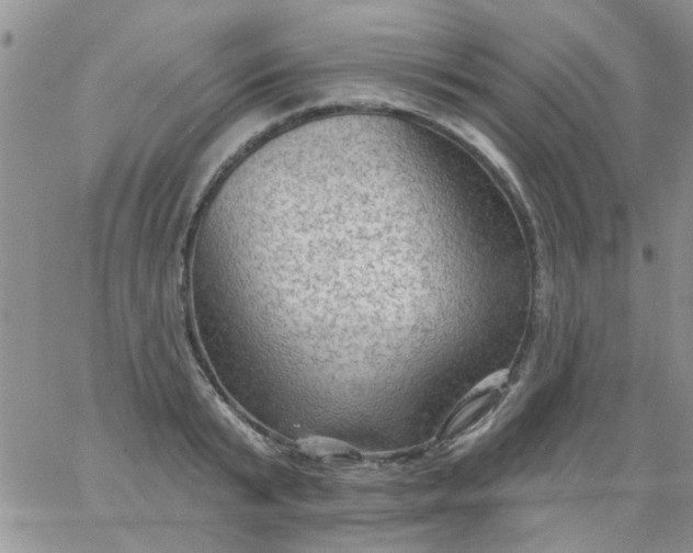 X0000065970799200603172049