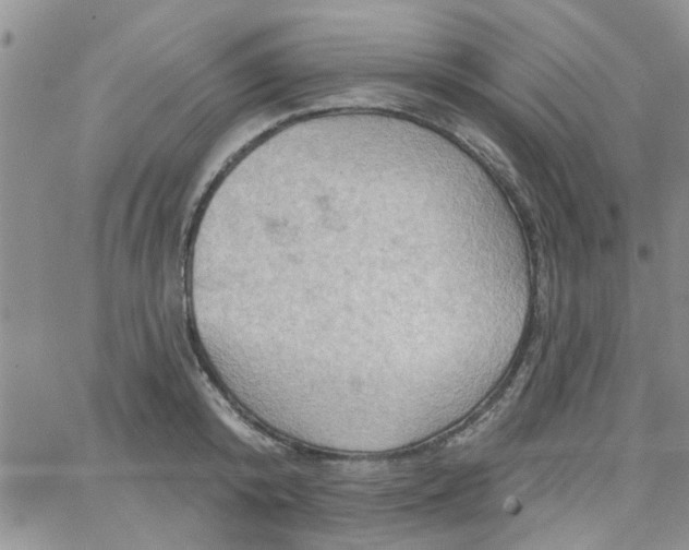 X0000065970800200603172049