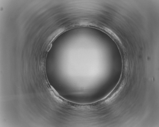 X0000065970801200603172049