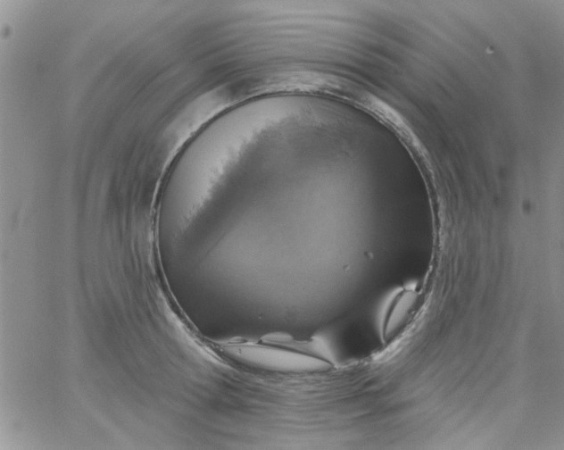 X0000065970802200603172049