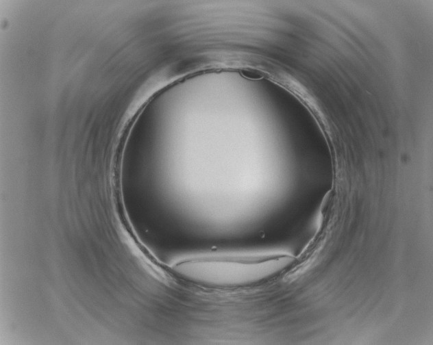 X0000065970803200603172049