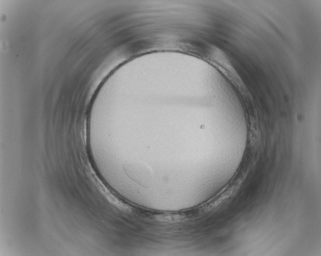 X0000065970804200603172049