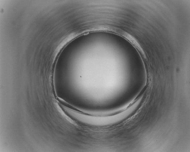 X0000065970805200603172048