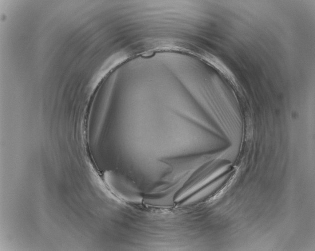 X0000065970806200603172048