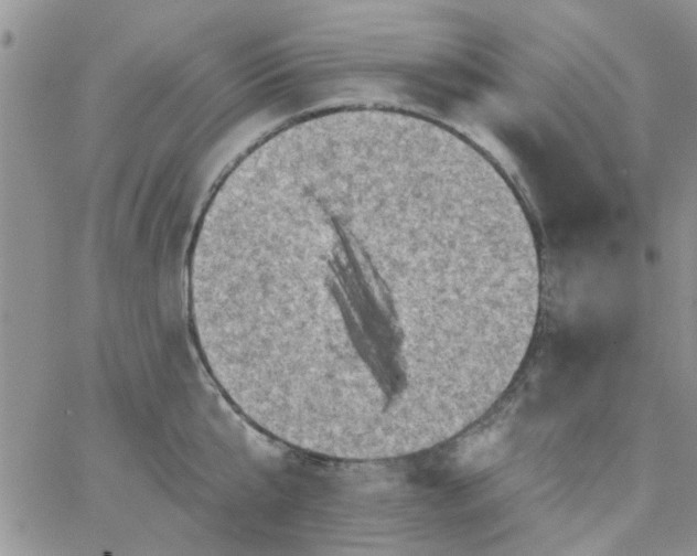 X0000065970807200603172048