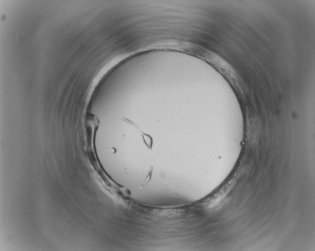 X0000065970808200603172048