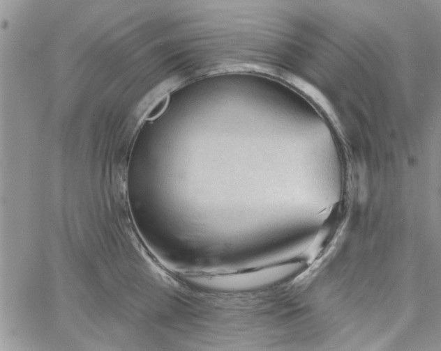 X0000065970809200603172048