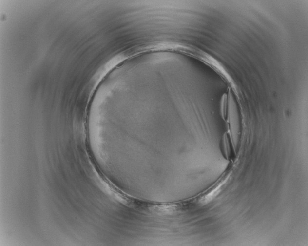 X0000065970810200603172048