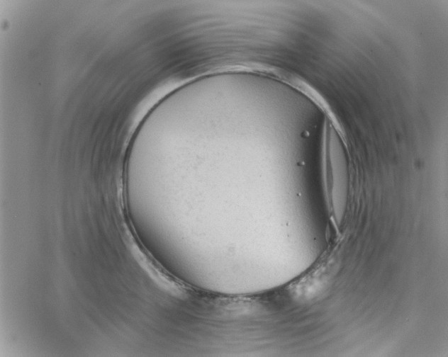 X0000065970811200603172048