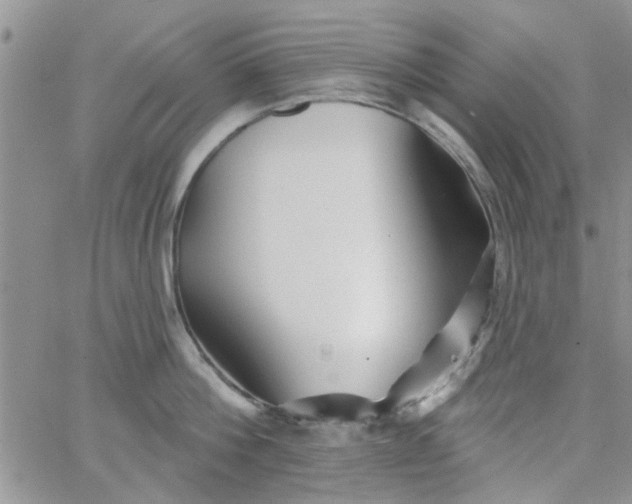 X0000065970812200603172048