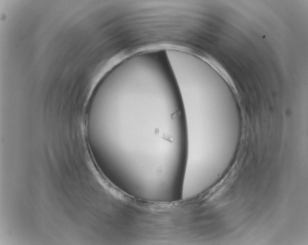 X0000065970813200603172048