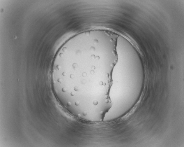 X0000065970814200603172048