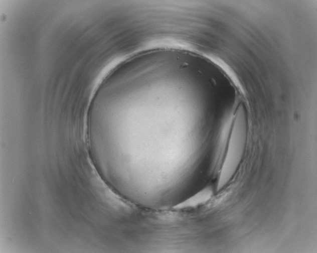 X0000065970815200603172048