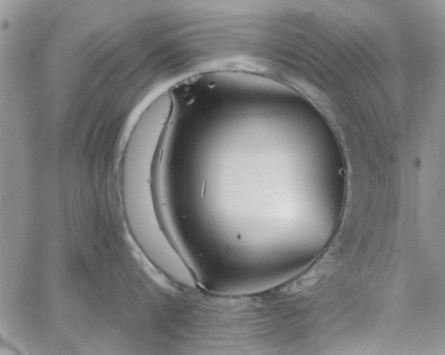 X0000065970816200603172048