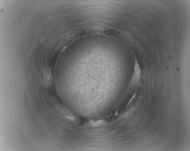 X0000065970818200603172048