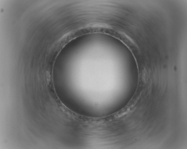 X0000065970821200603172048