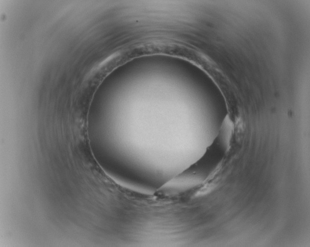 X0000065970822200603172048