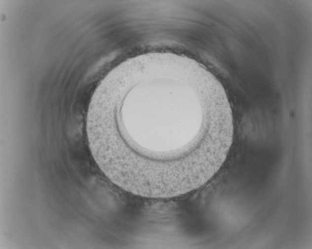 X0000065970824200603172048