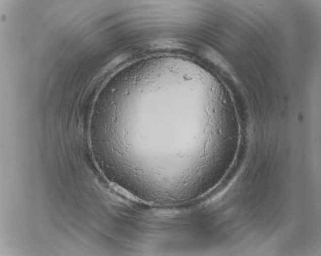 X0000065970825200603172048