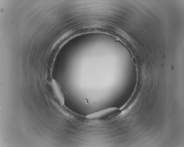 X0000065970826200603172048