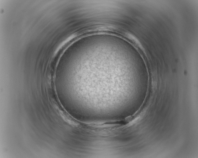 X0000065970827200603172048