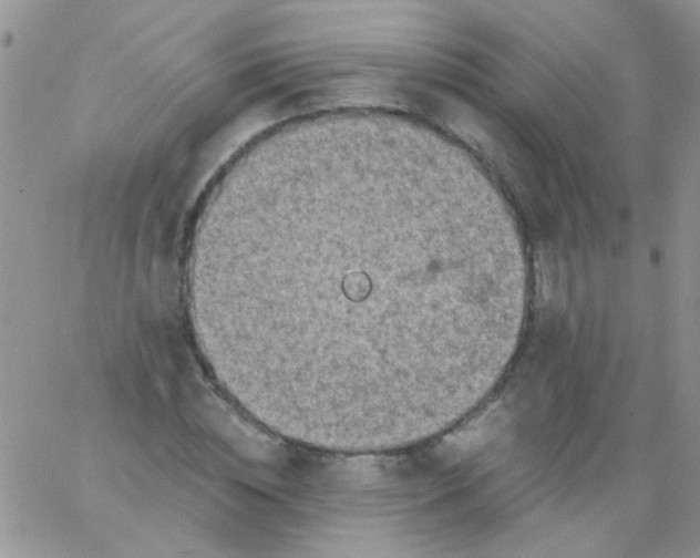 X0000065970828200603172048