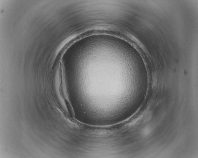 X0000065970829200603172048